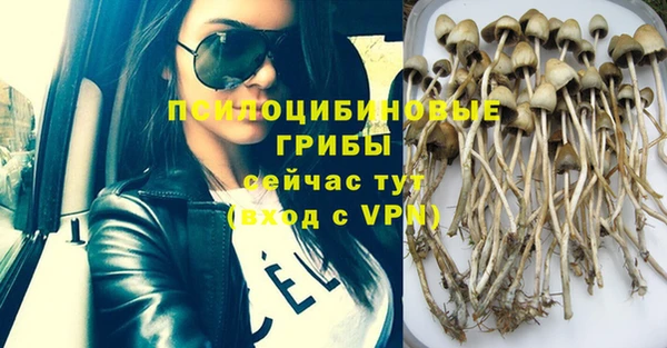 винт Балабаново