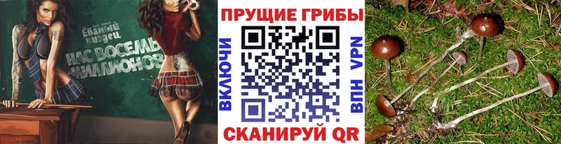 Псилоцибиновые грибы ЛСД Ветлуга